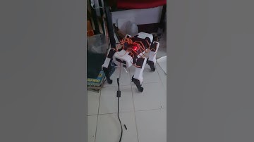 Spot micro Dog walk Raspberry PI 3 +Arduino #short#shorts#status#video #shortvideo#tiktok  #viral
