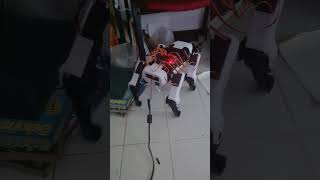 Spot micro Dog walk Raspberry PI 3 +Arduino #short#shorts#status#video #shortvideo#tiktok #viral
