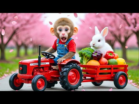 سورة البقرة تلاوة مرتلة بصوت الشيخ ياسر الدوسري