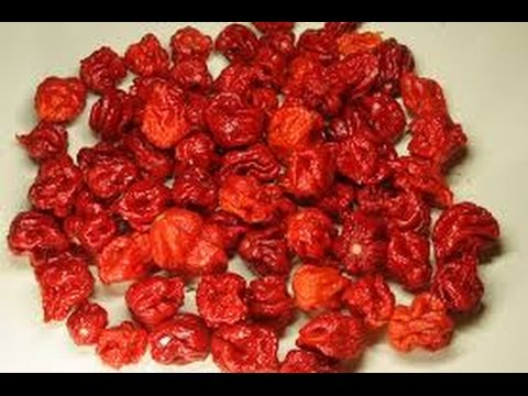 eating california reaper eating california reaper