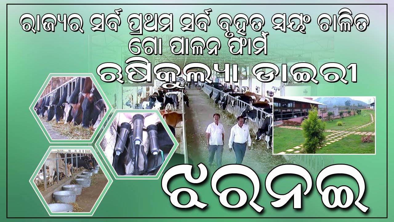 ରାଜ୍ୟର ସର୍ବ ପ୍ରଥମ ଓ ସର୍ବ ବୃହତ ସ୍ଵୟଂ ଚାଳିତ ଗୋ ପାଳନ ଫାର୍ମ, ଝରନଈ ।