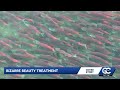 Salmon sperm facials are reeling in viral attention, but what are they?