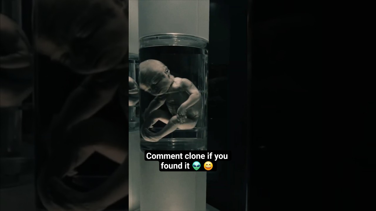 👽 Spot the clone - 