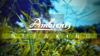 Beautiful Relaxing Music Cinematic #ASMR | Ambient screenshot 5