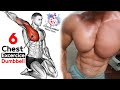 How to Build Chest Muscles Fast (with Dumbbells)- تمارين الصدرً كمال الاجسام