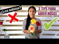 👉🏻 Cómo abrir Rosas naturales 3 TIPS para darles Volumen!!