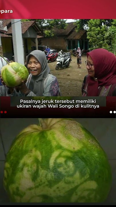 wajah Walisongo tergambar di jeruk Bali #warganet heboh  #shorts @kereayemtv