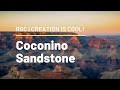 The TRUTH About How the Grand Canyon Was Made | Coconino Sandstone | Creation is Cool