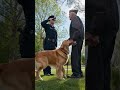 A recruit soldier salutes his veteran army officer