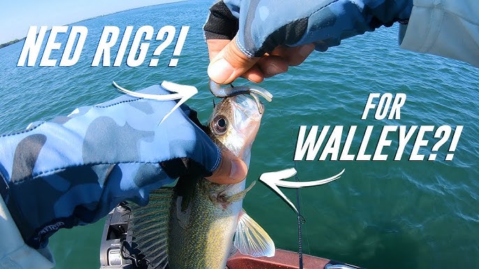 Funny Reactions to the Flopping Bass Hitch Critter on my Truck! + Update on  Me! 