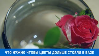 Что нужно сделать, чтобы цветы дольше стояли в вазе, что добавить в воду