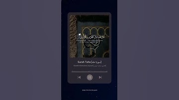 #سورة_طه #محمد_ايوب #القرآن_الكريم #surah_taha  #sheikh_mohamed_ayoub #quran #tiktok