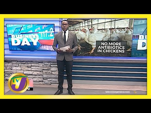 Jamaican Poultry Operators go Antibiotic Free | TVJ Business - May 6 2021