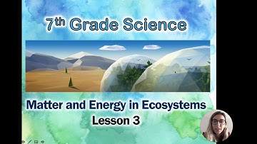 Matter and Energy in Ecosystems: Lesson 3