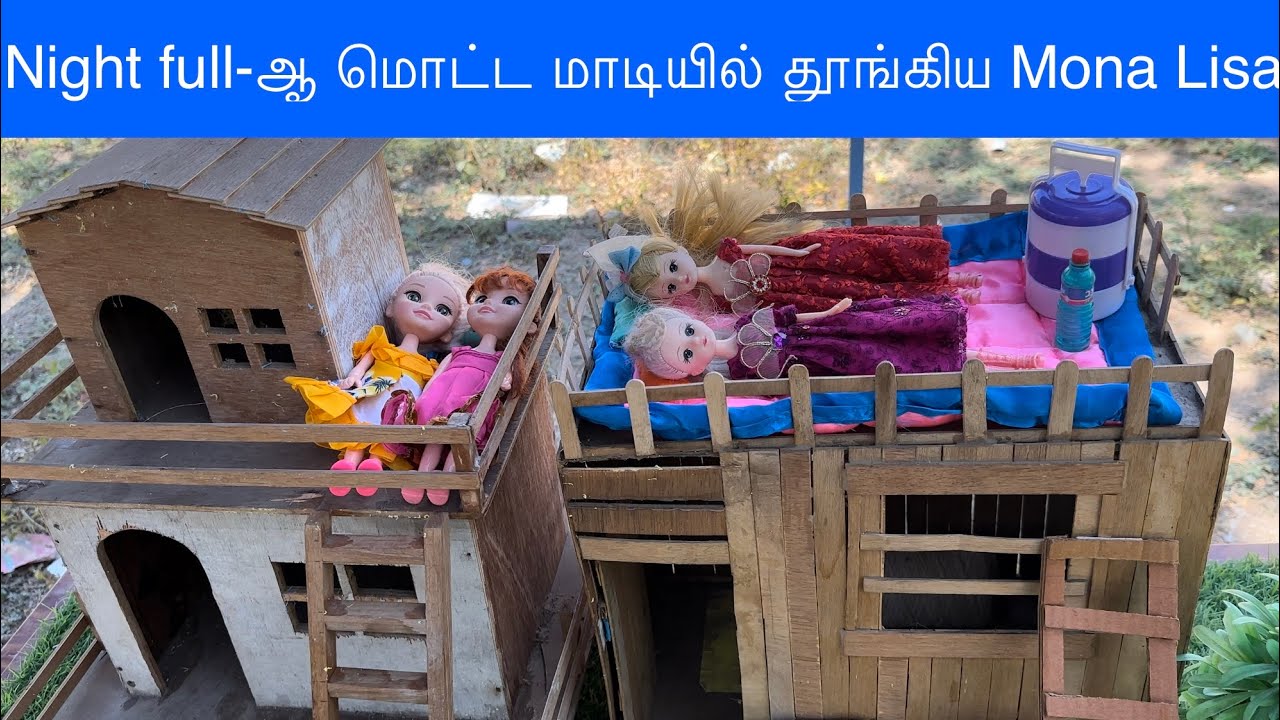 Night full-ஆ மொட்ட மாடியில் தூங்கிய Mona Lisa