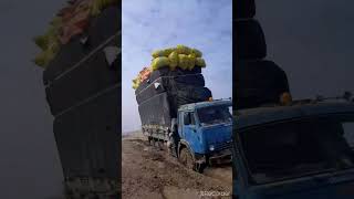 Kama3 KAMAZ. رای هرات فاریاب