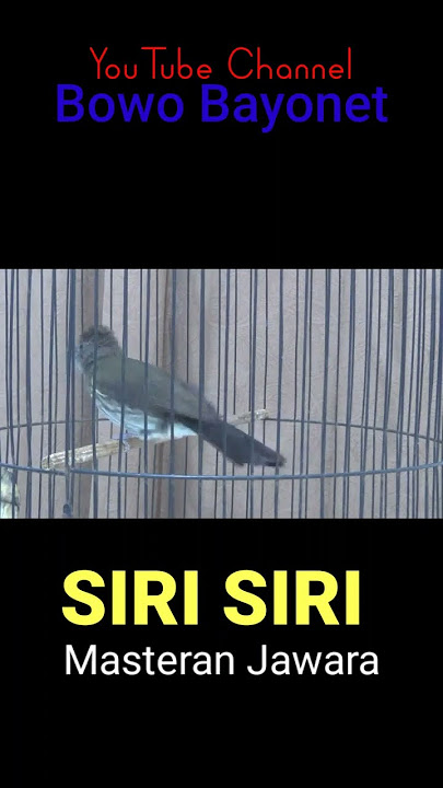 SIRI SIRI KECIL NEMBAK PANJANG