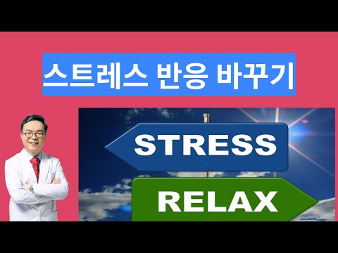 급만성 스트레스를 기능적 질환으로 만드는 2가지 반응과 해결법