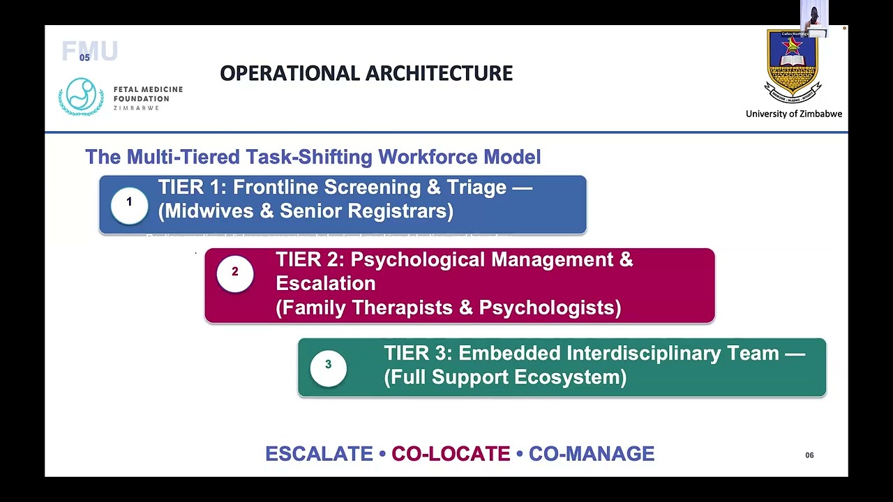 Optimizing Workforce Structures for Holistic Care in Fetal Medicine- Mr W. Pfende