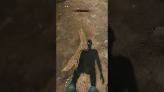 Legendary Beaver's Stick Easter Egg Guide In Dying Light The Beast #dyinglightthebeast