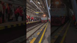 SHORT || Klebus x Sanes