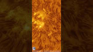 Download Lagu Sun Close Up Featuring a Solar Plage Captured From My Backyard #astronomy #astrophotography #space MP3