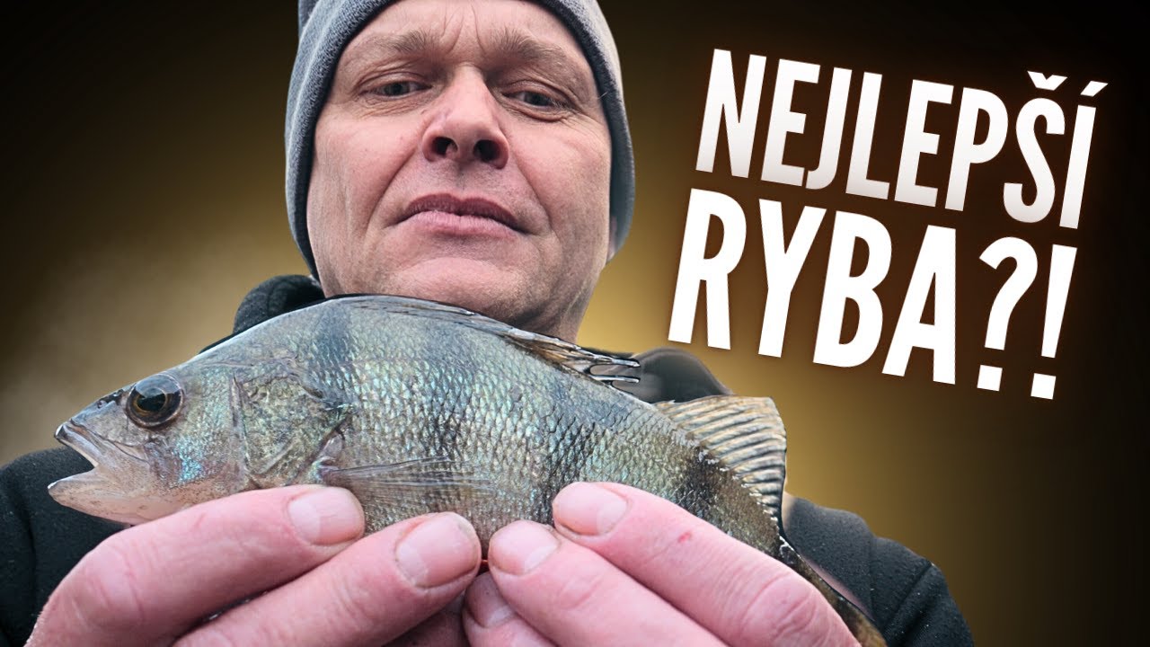 KRÁL NAŠÍCH VOD?! 👑 Velký souboj ryb: Okoun, candát a lín – která chutná nejlépe? 🐟