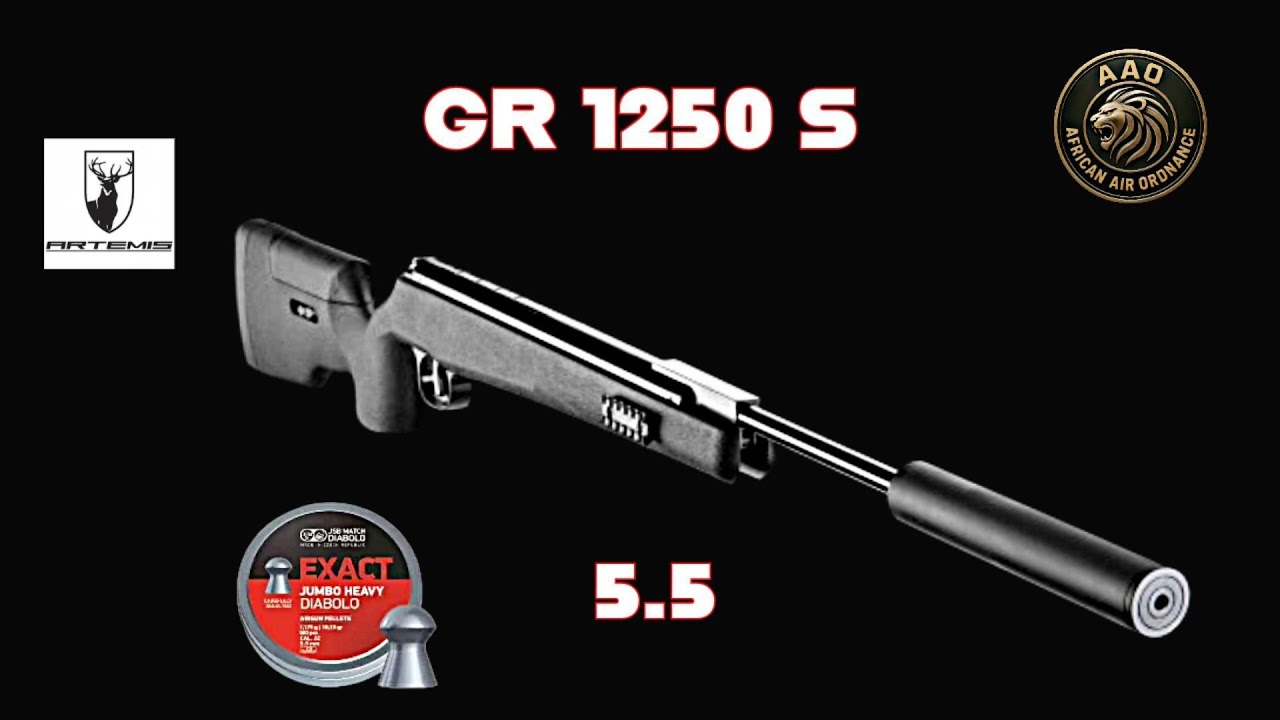 Тест точности Artemis GR1250 S на 25 ярдах: обзор пуль JSB 18,13 гран. Результаты реальных испытаний