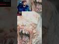 Resident Evil 9 - How did that spider get so big!!! #residentevil #ps5 #streaming #fyp #funnymoments