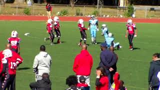 NYCYFL 2017 Pee Wees Springfield Rifles vs Bronx Knights 10/28/17