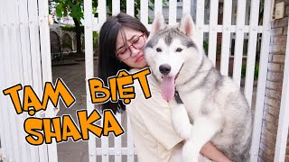 Tạm Biệt SHAKA - Dương Cô Nương Troll Chị Gái