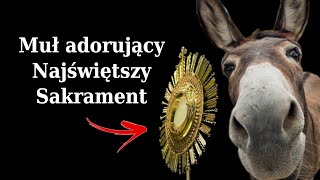 Wszyscy, którzy to widzieli nawrócili się!