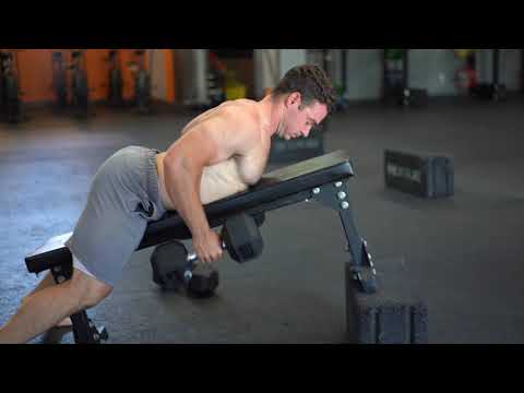 seal row dumbbell incline