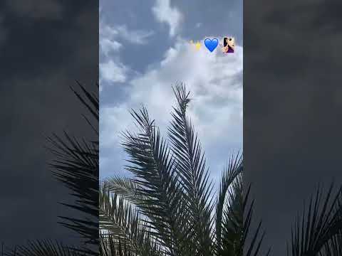 لو كنت عمل خاطر ليوم حلو عشناه غريبة الناس ادعمونا بالاشتراك لنصل ال 1000 مشترك