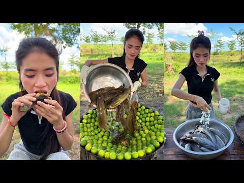 Cooking crispy fried fish with yummy recipe