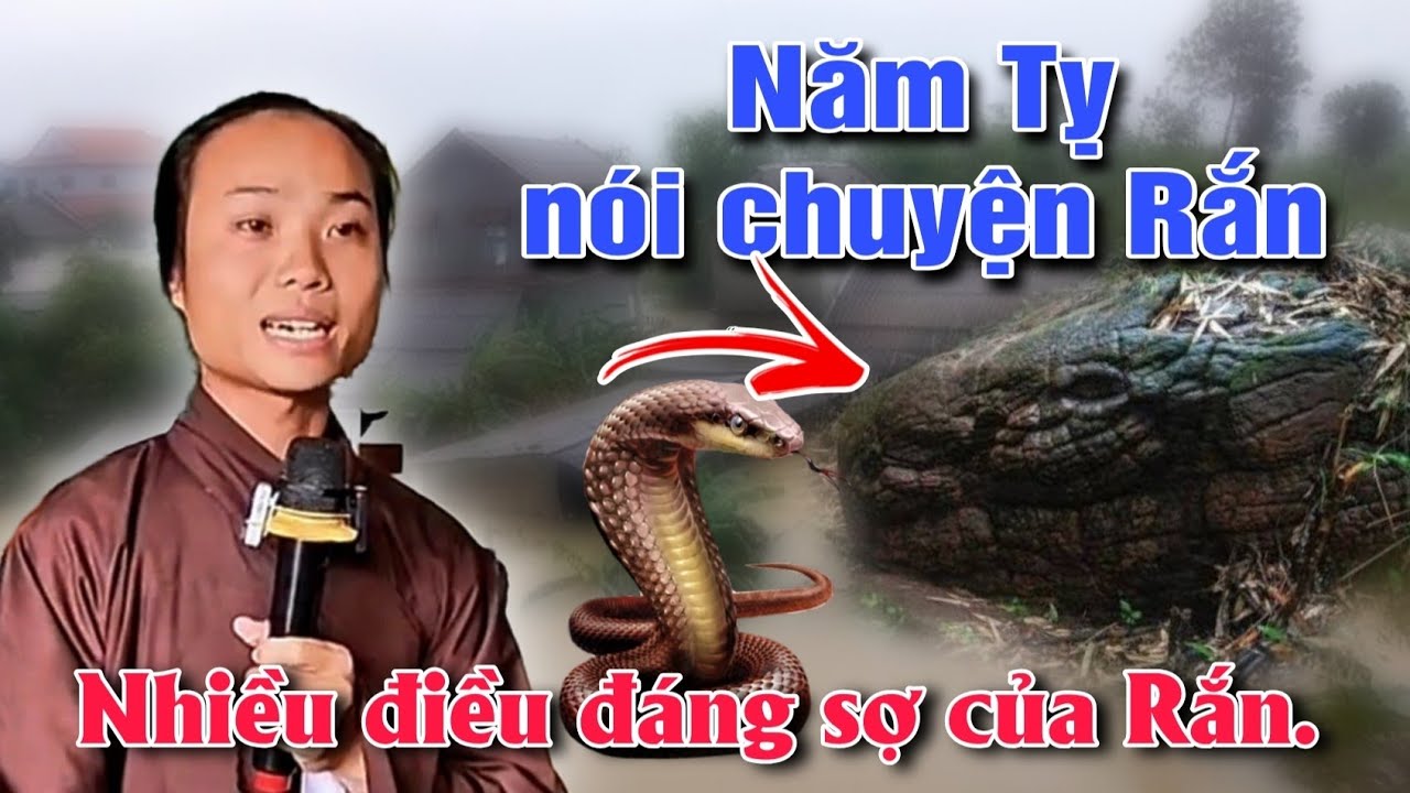Tu sĩ Nhựt. Năm Tỵ nói chuyện về rắn. Nhiều điều đáng sợ của Rắn.