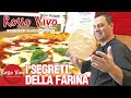 I segreti della FARINA per una Pizza PERFETTA