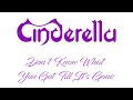 Cinderella Don T Know What You Got Till It S Gone Lyrics Official Remaster 