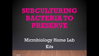 Subculturing Bacteria Home Lab Experiment