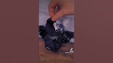 Custom beanie boo transition!