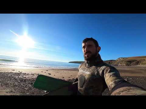 December spearfishing North wales