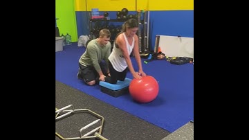 Partner Assisted Nordic Hamstring Curl
