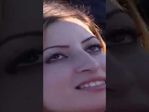 Abdellah Daoudi Baba Sidi Chaabimarocaine Chaabi Provisound Cha3bi 