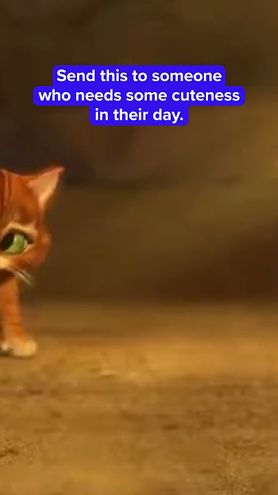 Send This To Someone Who Needs CUTENESS In Their Day - Puss in Boots: The Last Wish