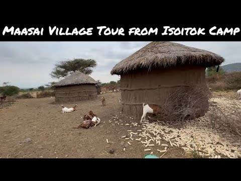 The Ultimate Maasai Village Tour Tanzania Safari Camp Maasai Culture Experience
