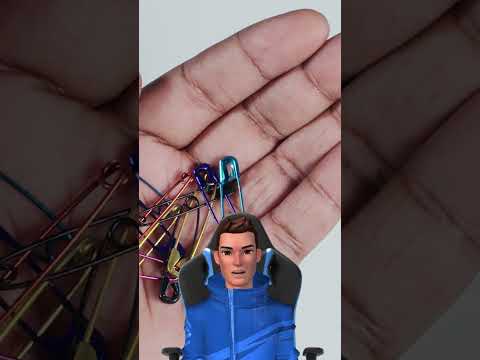 Дълг от 15 долара създаде нещо вечно Shorts