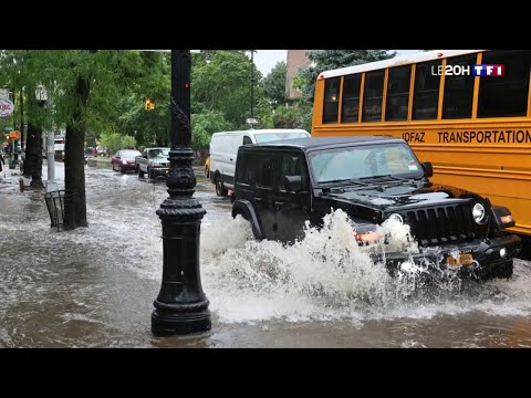 Vidéo: La météo et le climat à Brooklyn, New York