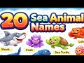 Learn water animal names in hindi and english|sea animals name for toddlers
