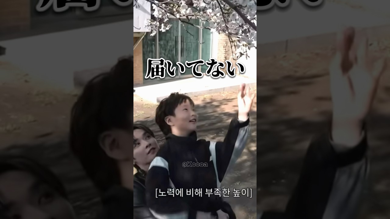 面倒見が良い一人っ子のリノさん