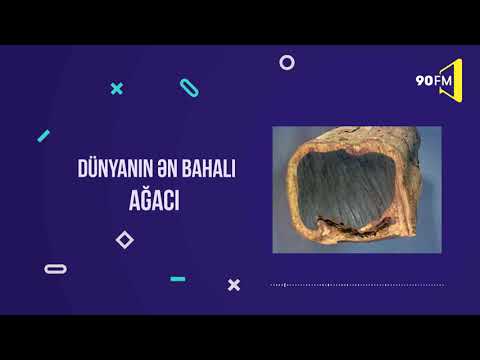 Video: Dünyanın ən gözəl və bahalı Milad ağacları